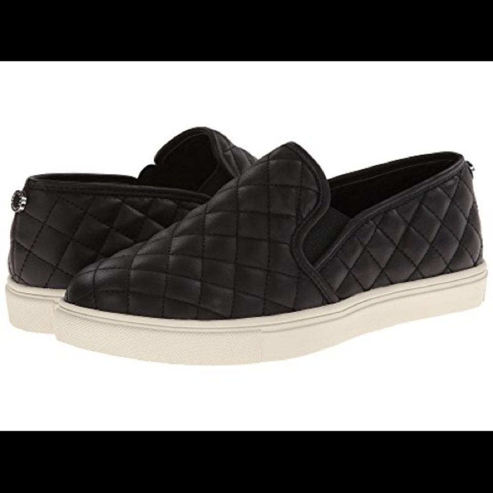 Steve Madden Ecentrcq Sneakers
